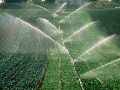 喀什市太平乡2026年农田种植业基地灌溉渠系建设项目-施工、-监理招标公告