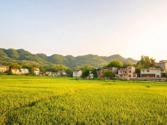 奎依巴格乡美丽宜居村产业发展（一期）项目（EPC）